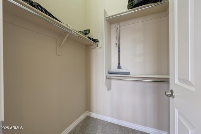 spacious closet with carpet floors