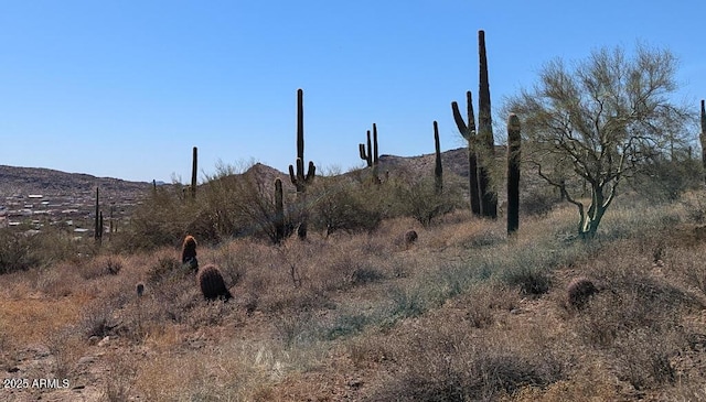 Listing photo 3 for 1670 E Gaffney Rd -, Unit Phoenix AZ 85087