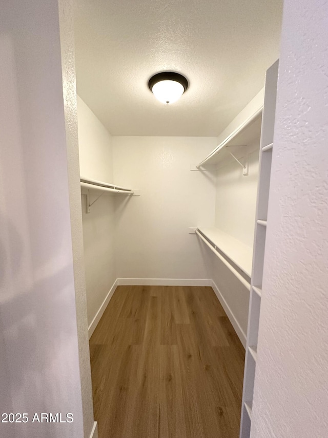 spacious closet featuring wood finished floors