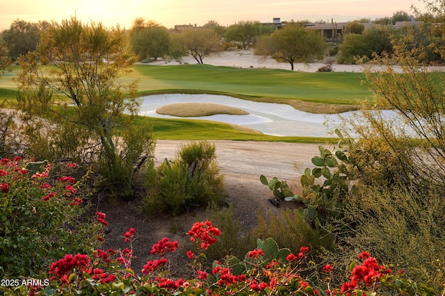 view of property's community with a lawn and view of golf course