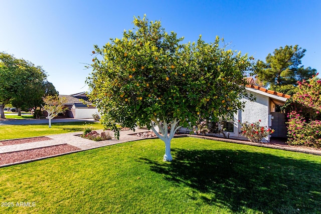 obstructed view of property with a front lawn