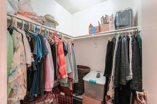 view of spacious closet