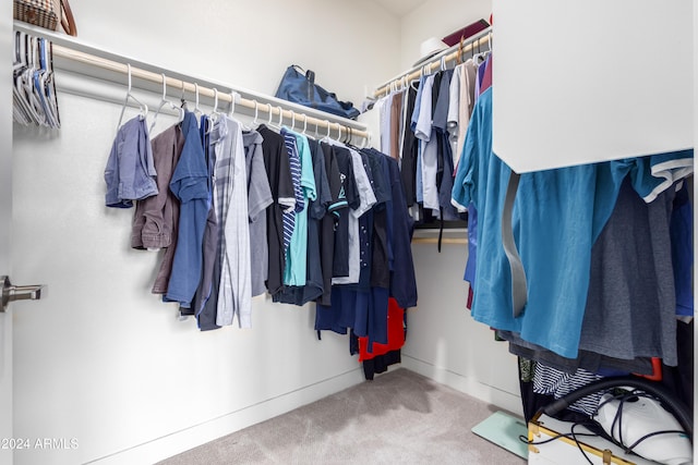 spacious closet with carpet