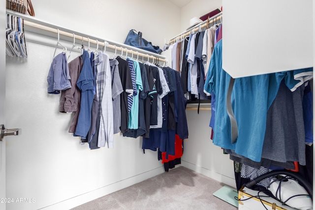 2511 W Queen Creek Rd Unit 205, Chandler, AZ 85248 - walk in closet featuring carpet floors