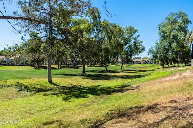 view of community with a lawn