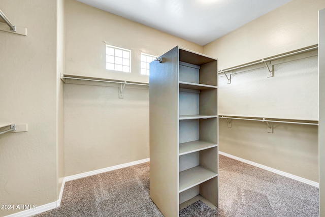 spacious closet featuring carpet