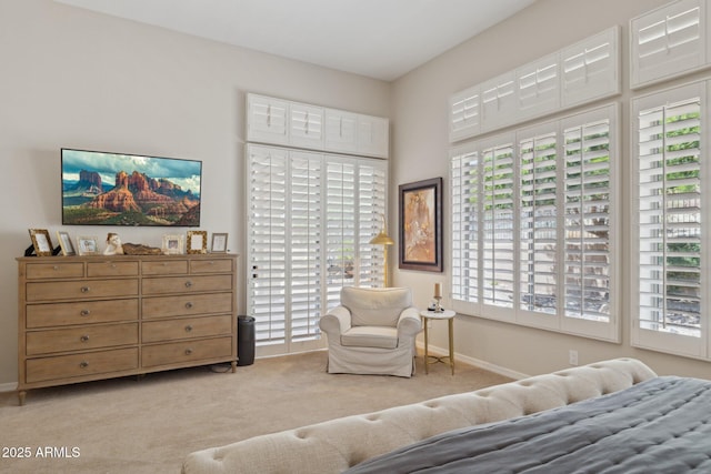 bedroom with carpet flooring and baseboards