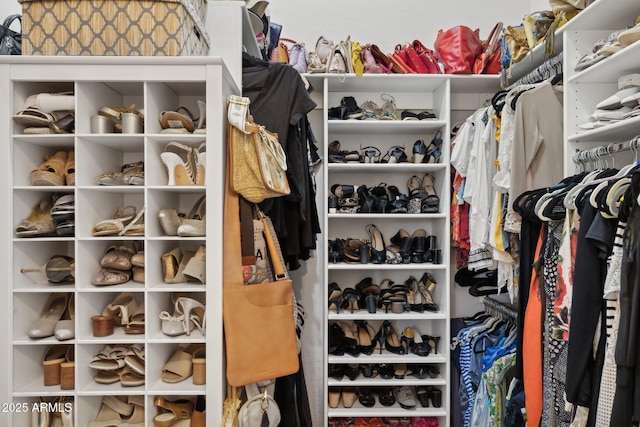 view of walk in closet