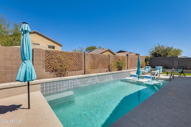 view of pool with a patio area