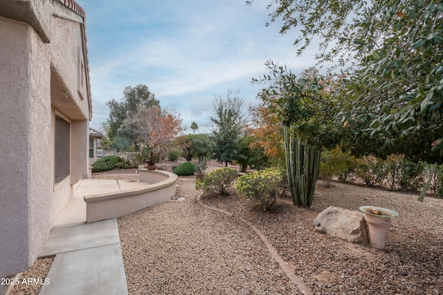 view of yard with a patio