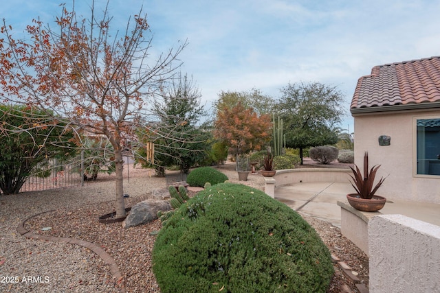 view of yard featuring a patio