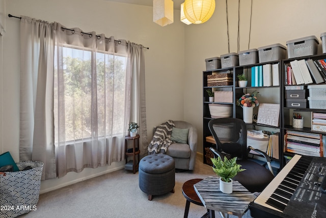 sitting room featuring carpet flooring