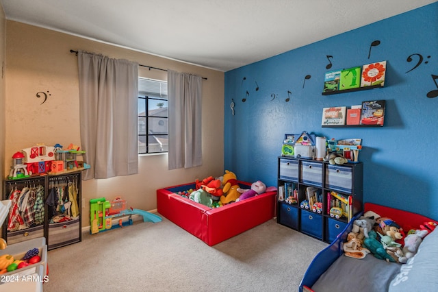 recreation room featuring carpet floors