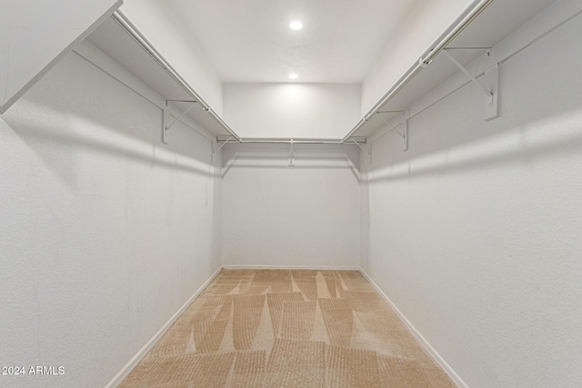 spacious closet with light colored carpet