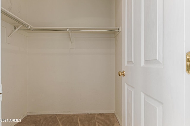 spacious closet with carpet