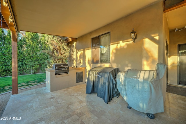 view of patio / terrace featuring area for grilling and grilling area