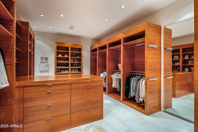 view of spacious closet