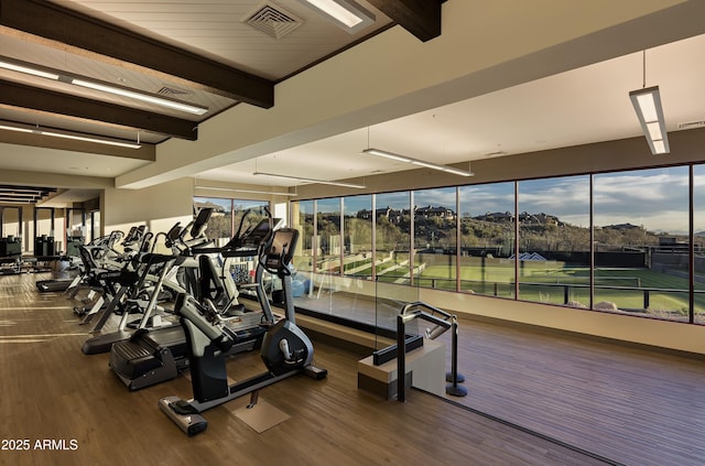 exercise room featuring hardwood / wood-style floors