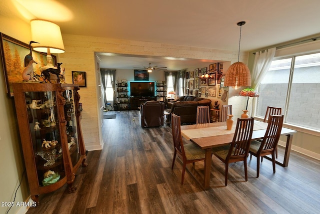 3062 E Cullumber St, Gilbert, AZ 85234 - dining space featuring ceiling fan and dark wood-type flooring