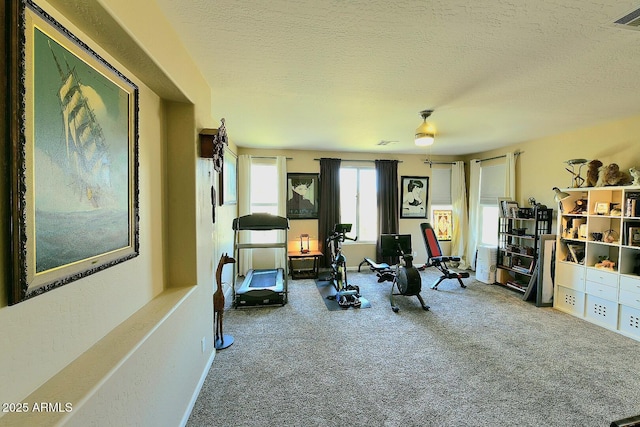 3062 E Cullumber St, Gilbert, AZ 85234 - exercise area with carpet floors, visible vents, a textured ceiling, and baseboards