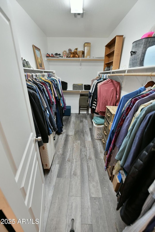 3062 E Cullumber St, Gilbert, AZ 85234 - walk in closet featuring visible vents and wood finished floors