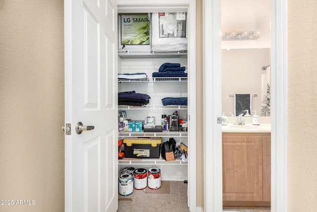 closet featuring sink