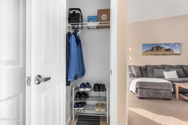 view of closet