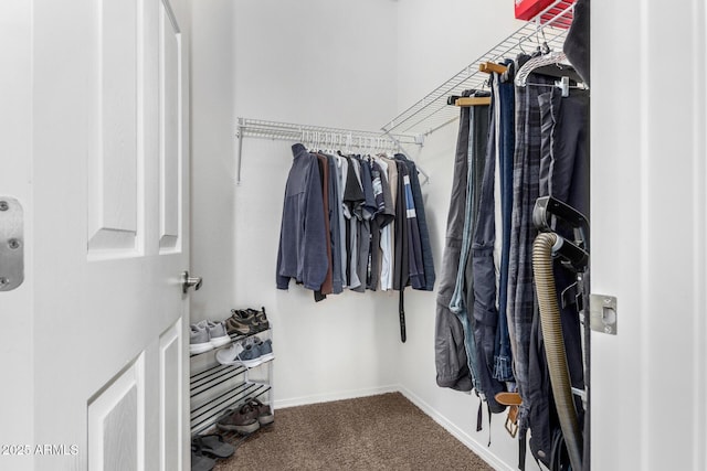 walk in closet with carpet floors