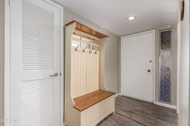 mudroom featuring dark hardwood / wood-style floors