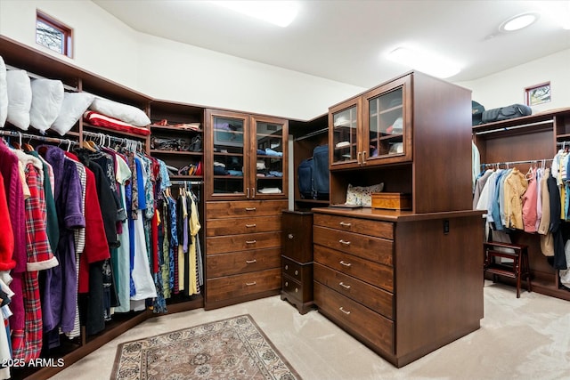 walk in closet with light carpet