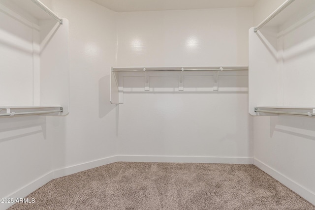walk in closet featuring carpet flooring