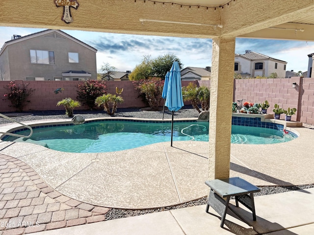 view of pool featuring a patio