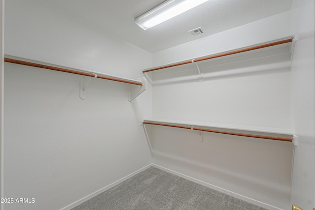 walk in closet featuring visible vents and carpet floors