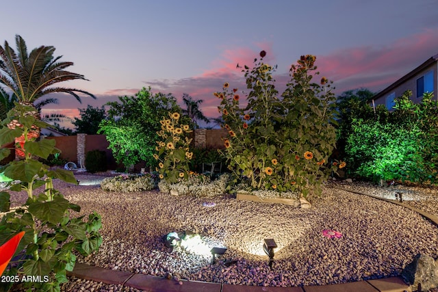31453 N Blackfoot Dr, San Tan Valley, AZ 85143 - view of yard at dusk