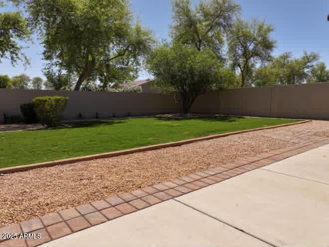 view of yard with a patio and a fenced backyard