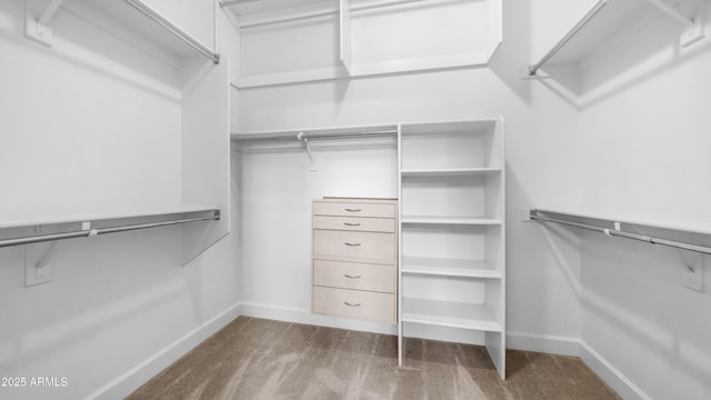 spacious closet with carpet
