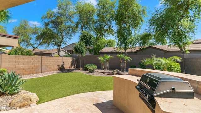 view of yard featuring a fenced backyard, a patio area, and area for grilling