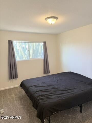 bedroom with carpet floors