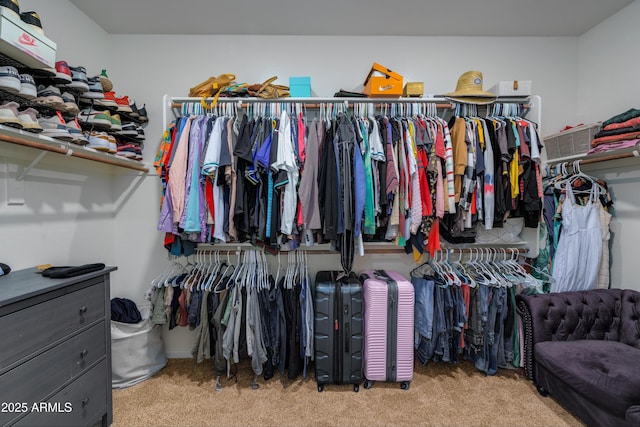 walk in closet featuring carpet floors