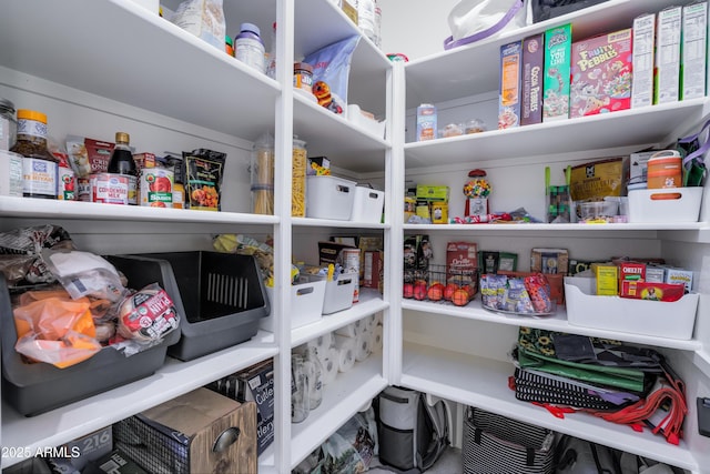 view of pantry