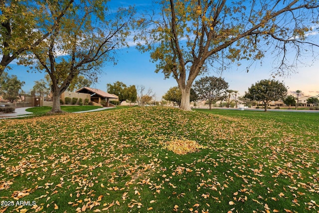 view of yard