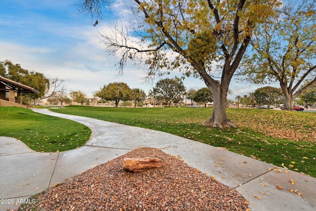 view of property's community with a lawn