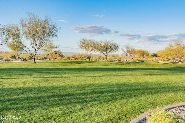 surrounding community featuring a yard