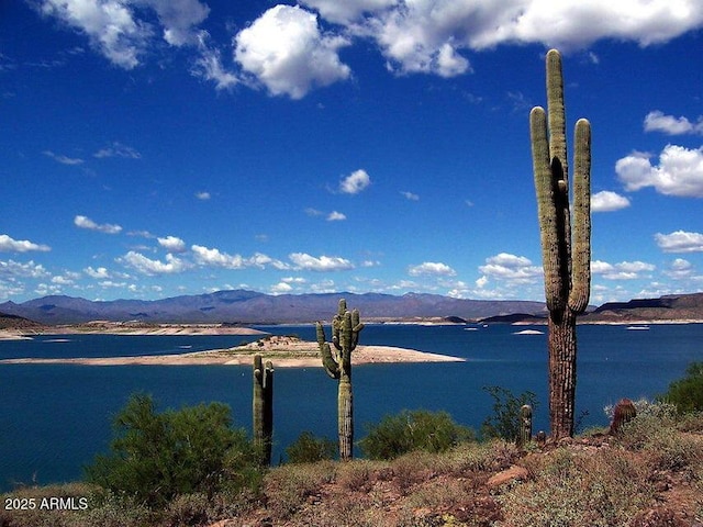 property view of water with a mountain view