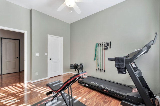 workout area featuring ceiling fan and hardwood / wood-style flooring