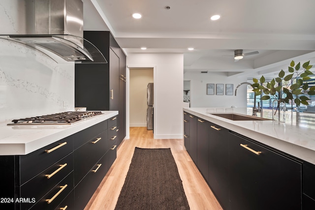 kitchen with ventilation hood, light hardwood / wood-style floors, appliances with stainless steel finishes, and sink