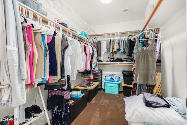 spacious closet with carpet floors