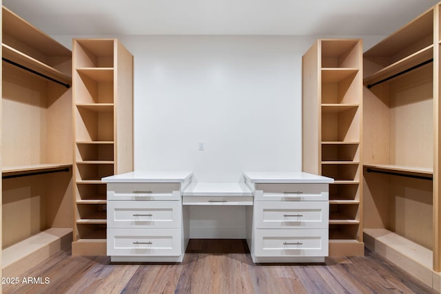 walk in closet with light wood-style flooring