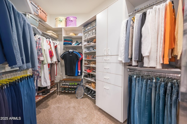 spacious closet with light carpet