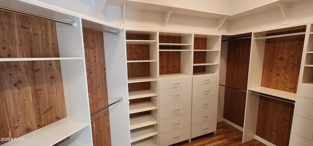 spacious closet featuring dark wood-type flooring